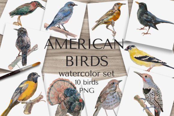 American Birds Watercolor Set: A Creative Resource for Designers and Makers