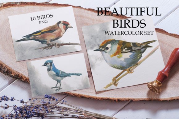 Beautiful Birds Watercolor Set Guide