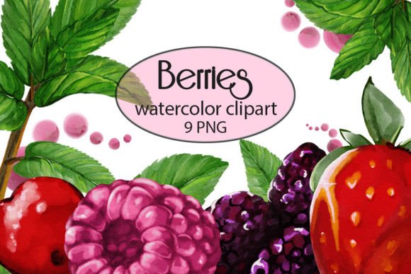 Watercolor Berries Clipart PNG Guide
